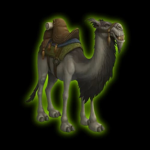 White Riding Camel Mount