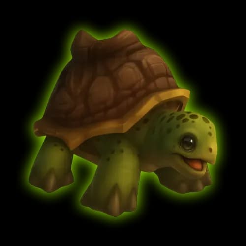 Riding Turtle Mount