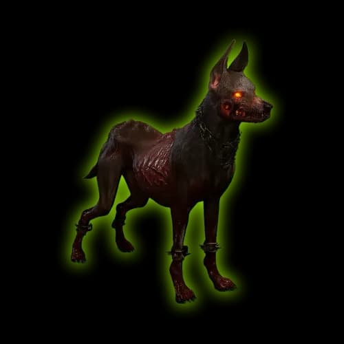 Dante Pet